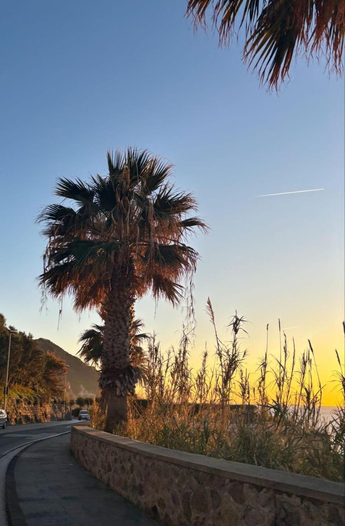 Appartamento A Due Passi Dal Mare Ischia Dış mekan fotoğraf